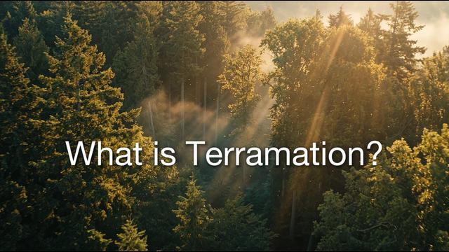 What is Terramation? — aerial forest with sunlight rays